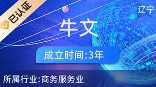 大连牛文网络科技文化 驱动网络科技与计算机软硬件融合的创新引擎