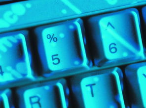 数字时代的基石 科技、网络与创意素材的融合